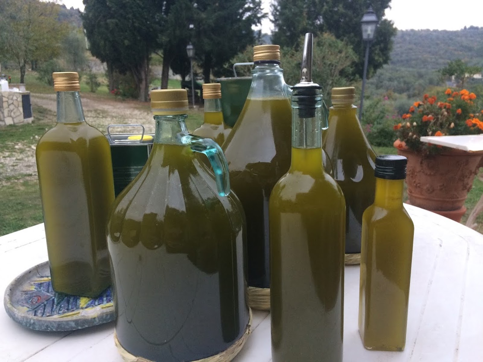 Producción de aceite de oliva virgen extra, Florence Villa Violetta, Toscana, lia
